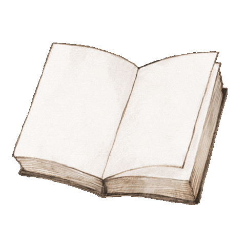 a book opening pages