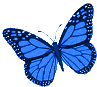 butterfly icon for bluesky